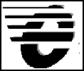 A logo / device mark for Hyperstone Electronics semiconductors