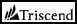 A logo / device mark for Triscend semiconductors