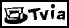 A logo / device mark for Tvia Tech semiconductors